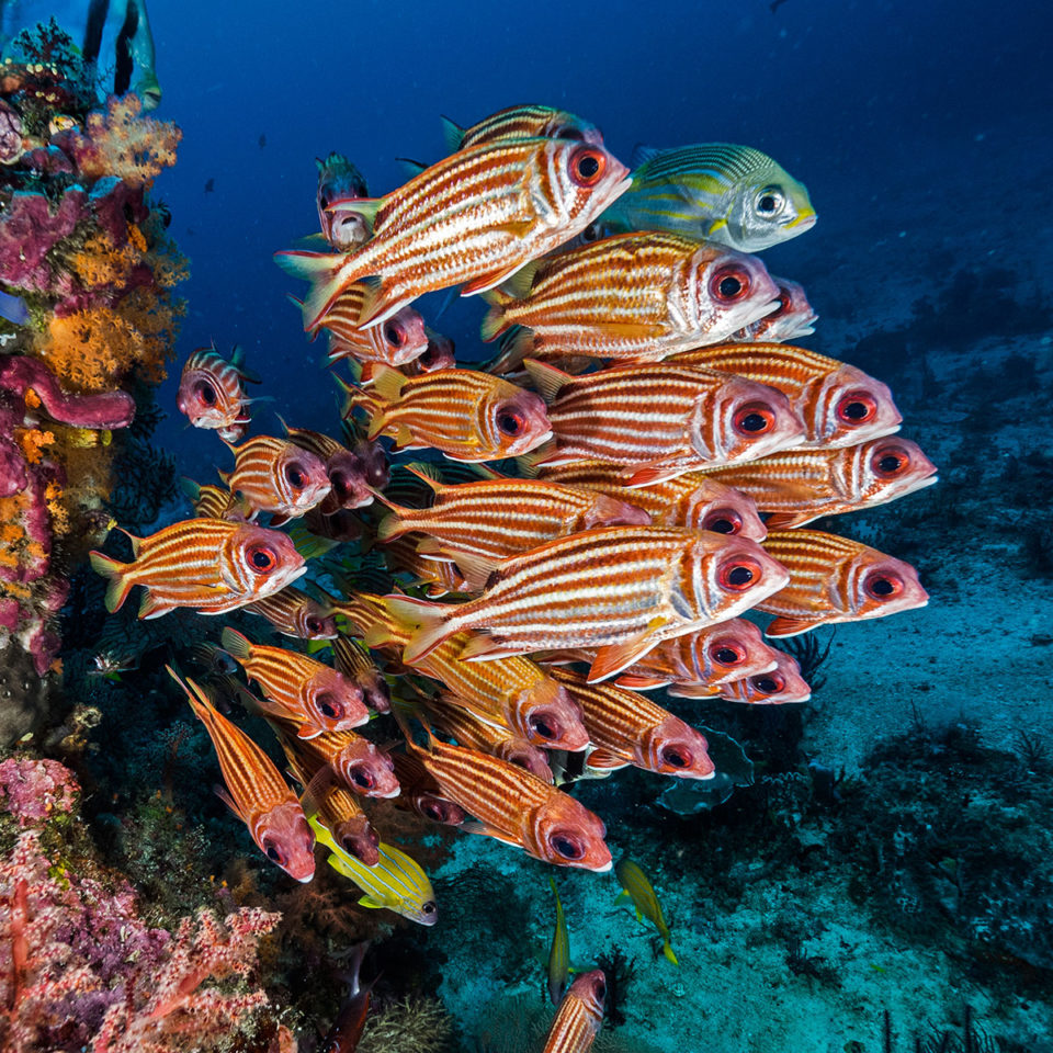 agencia viajes luna miel