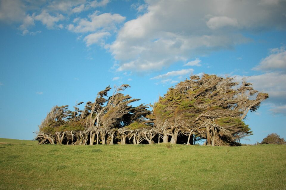 Slope Point