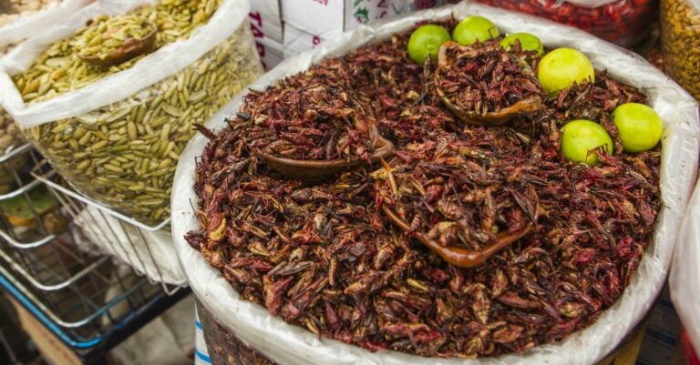 Chapulines, Tan Mexicanos Y Tan Diferentes - Planes Con Duende