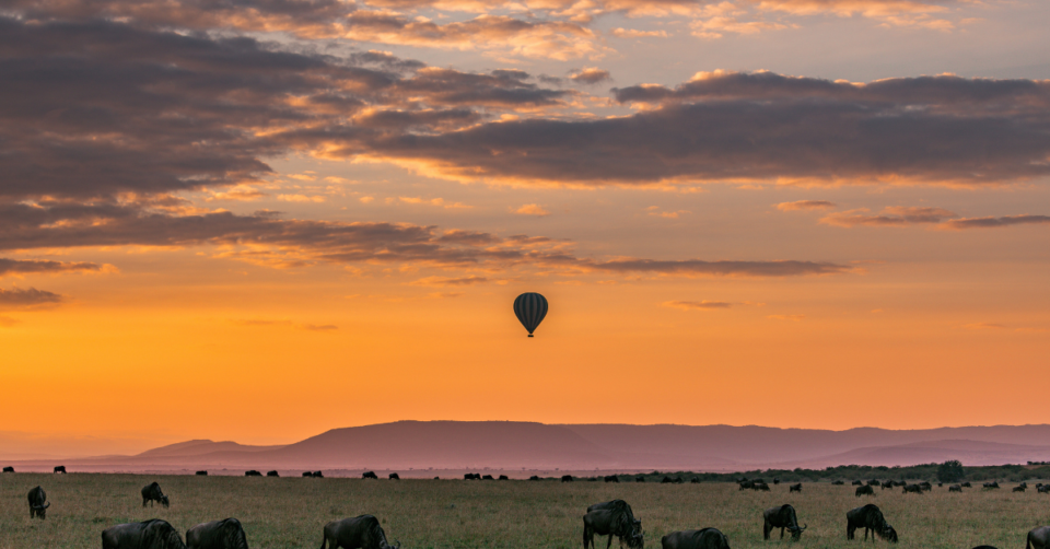 Viajar a Tanzania
