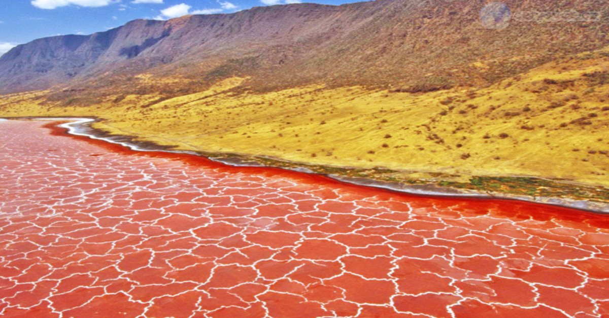lago natron en tanzania lago natron en tanzania