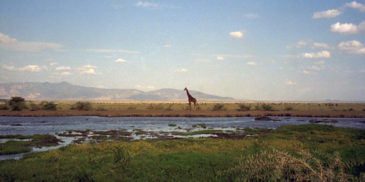 lago-manyara