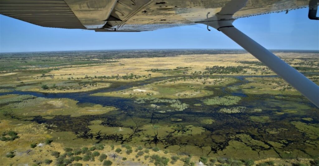 Planes con Duende - Panorámica aérea del Delta del Okavango