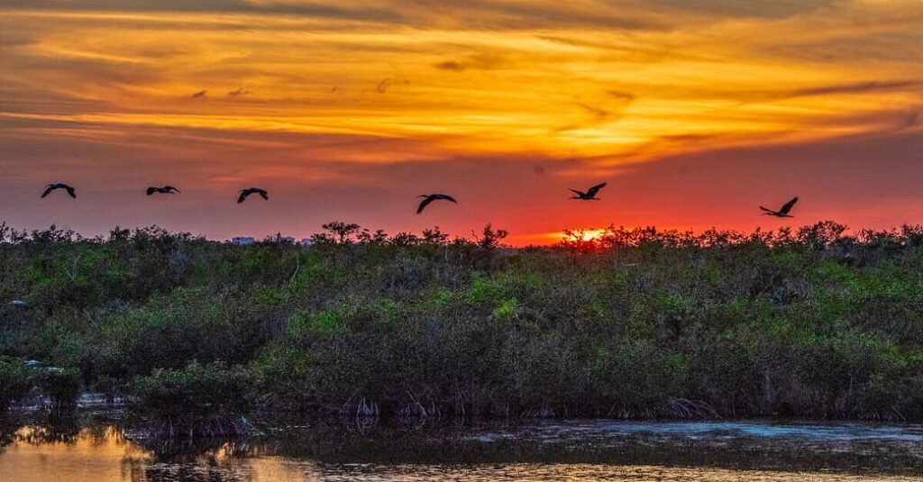Planes con Duende - Puesta de sol en Everglades