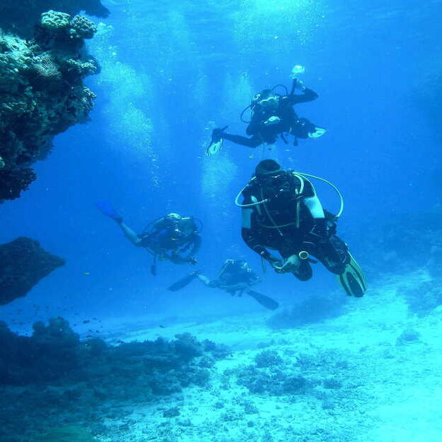 Varios viajeros practicando buceo en las aguas de las Islas Perhentian