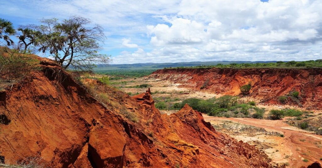 Explorando los parques nacionales de Madagascar