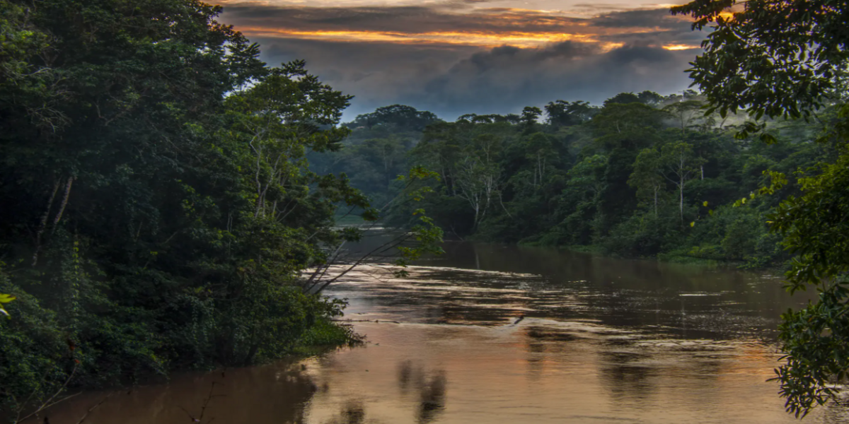 El Amazonas ecuatoriano, un entorno revelador