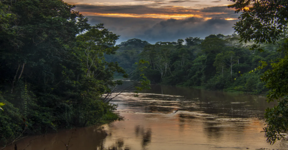 general-amazonas-ecuatoriano Imagen de la selva del Amazonas ecuatoriano