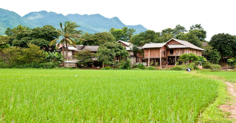 Mai Chau Imagen de los campos de Mai Chau, en Vietnam