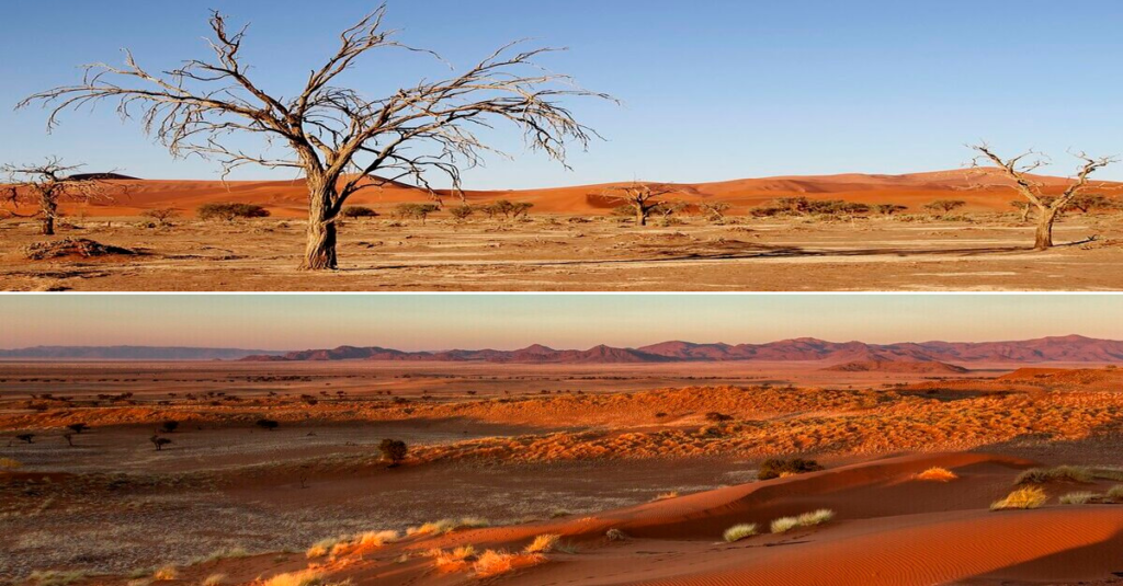 Panorámica visual de los desiertos del Kalahari (arriba) y del Namib (abajo)