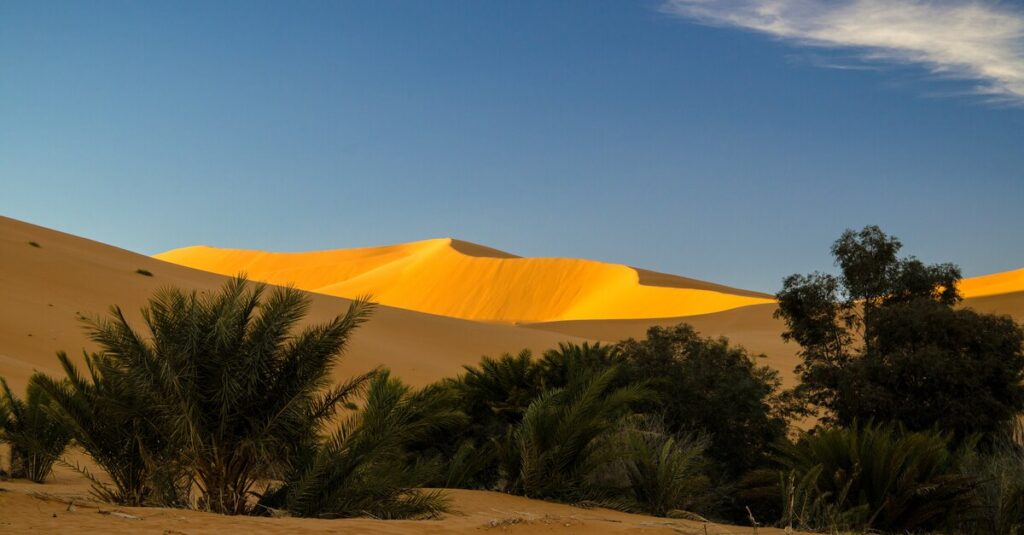 Oasis en el desierto de Merzouga