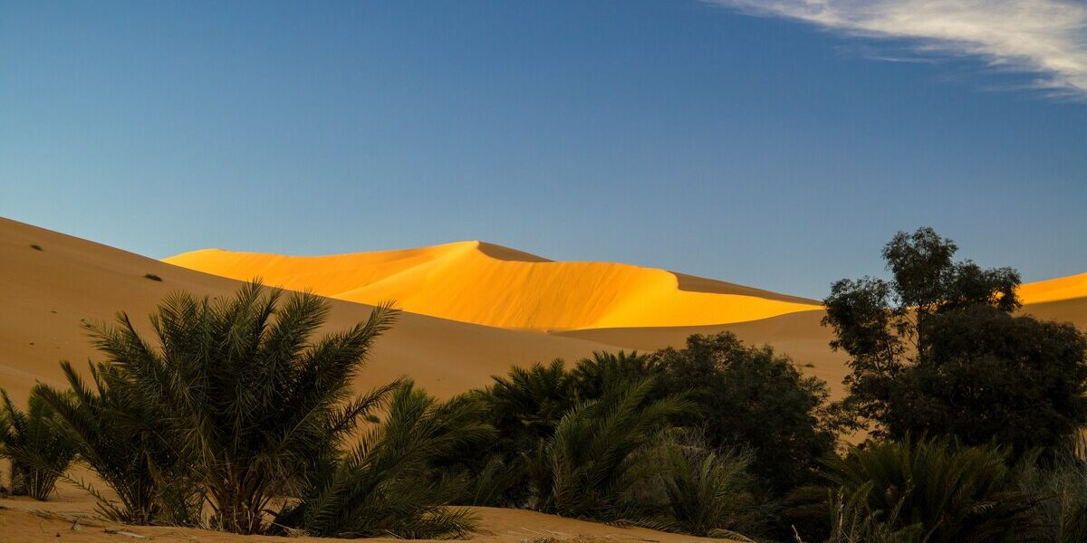 oasis-desierto-merzouga Oasis en el desierto de Merzouga