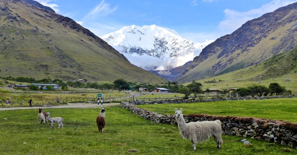 Parte del Salkantay Trek, una de las mejores aventuras de Perú Parte del Salkantay Trek, una de las mejores aventuras de Perú