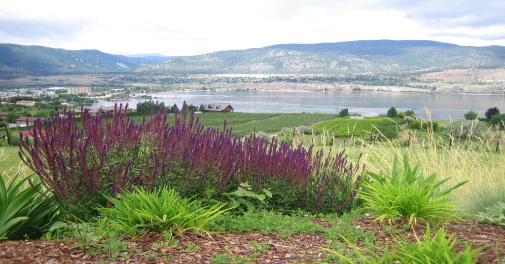 Viñedos del Valle de Okanagan