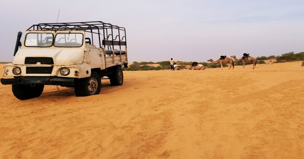 Jeep, y al fondo dromedarios, en el Desierto de Lompoul