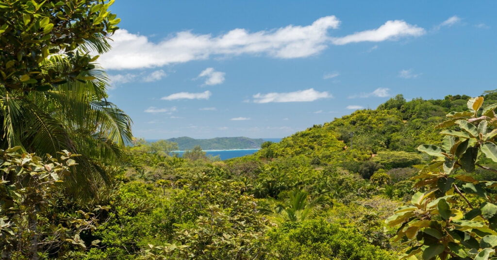 Vista del Valle de Mai, uno de los tesoros naturales de Seychelles