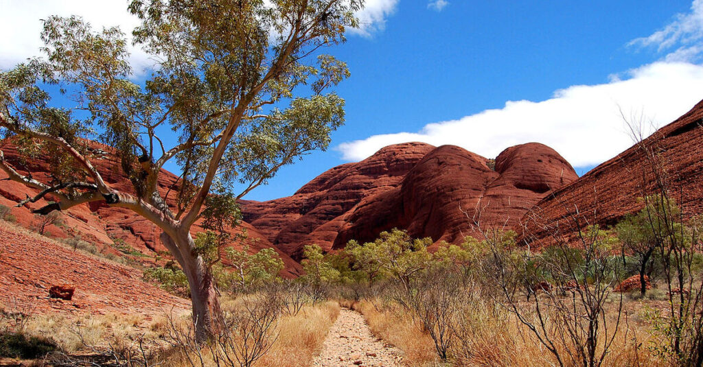 Más que visitarse, el Outback australiano se vive y se siente