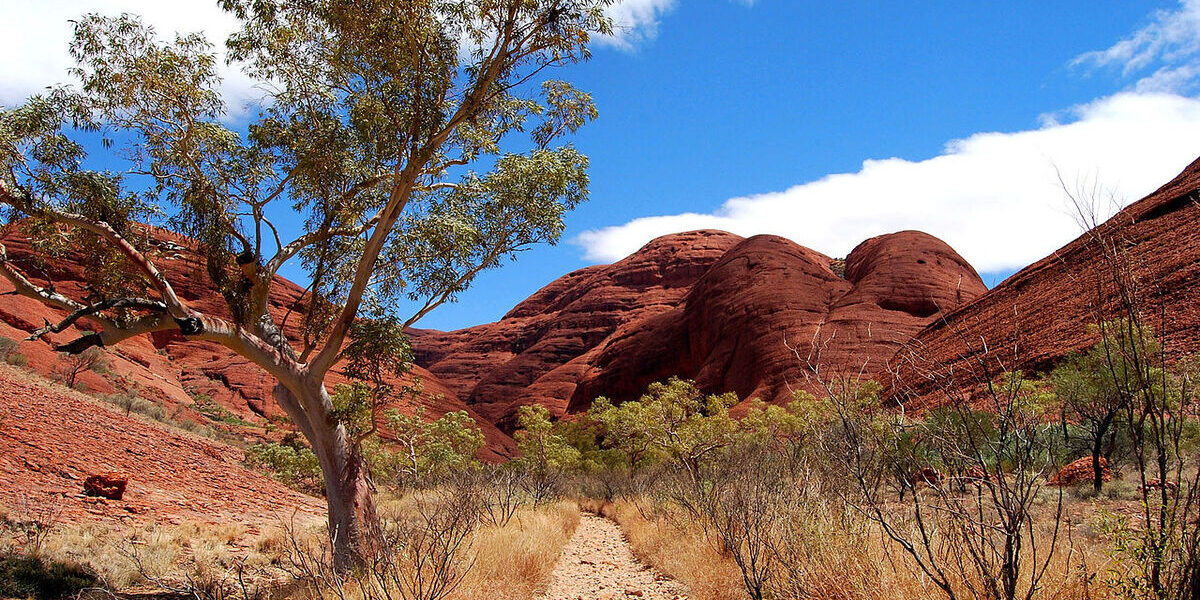 Más que visitarse, el Outback australiano se vive y se siente