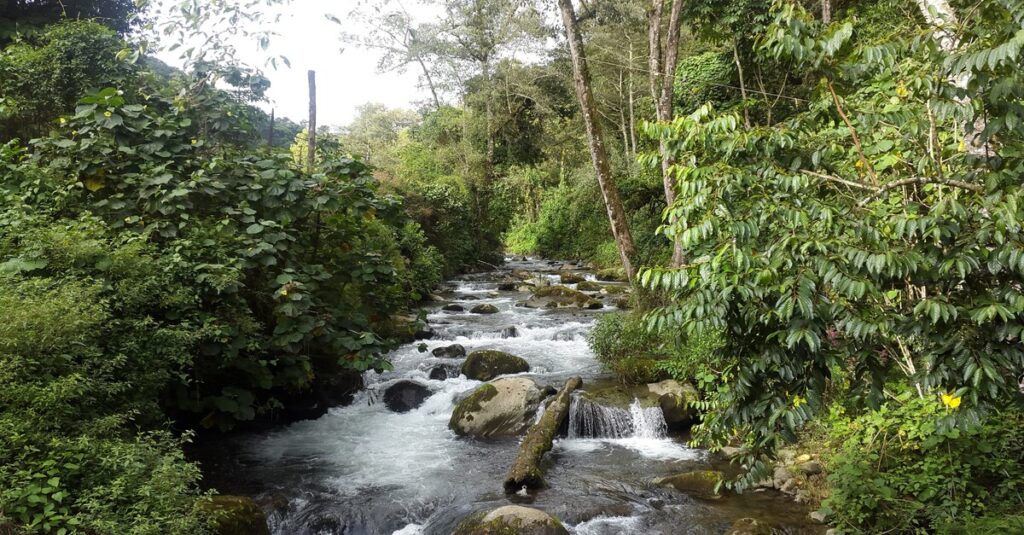 Entorno natural de San Gerardo de Dota, en Costa Rica
