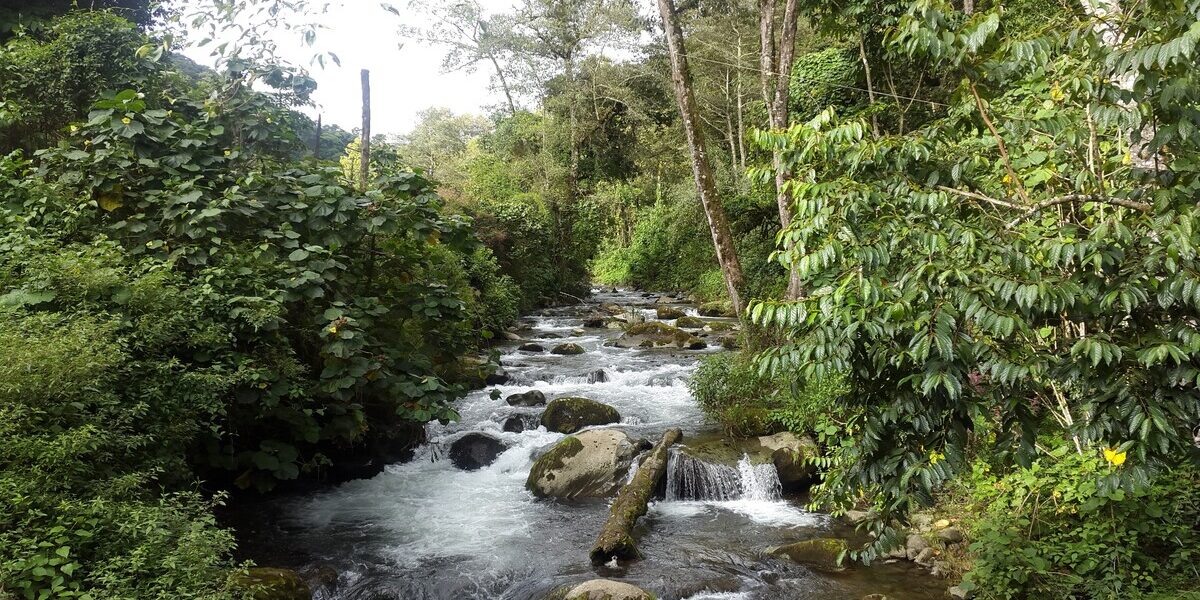 costa-rica-autentica-principal Entorno natural de San Gerardo de Dota, en Costa Rica