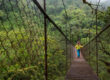 Caminar por un puente colgante en Monteverde, una experiencia de lo más aventurera en Costa Rica