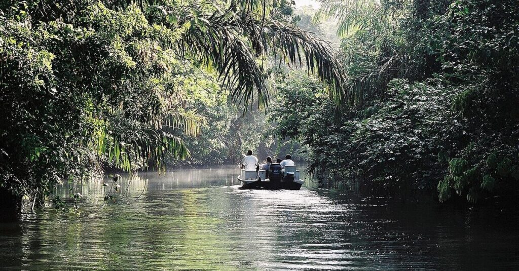 Navegando sobre un bote en el Parque Nacional Tortuguero
