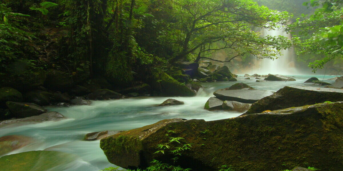 Paso del Río Celeste por el Parque Nacional Volcán Tenorio, en Costa Rica