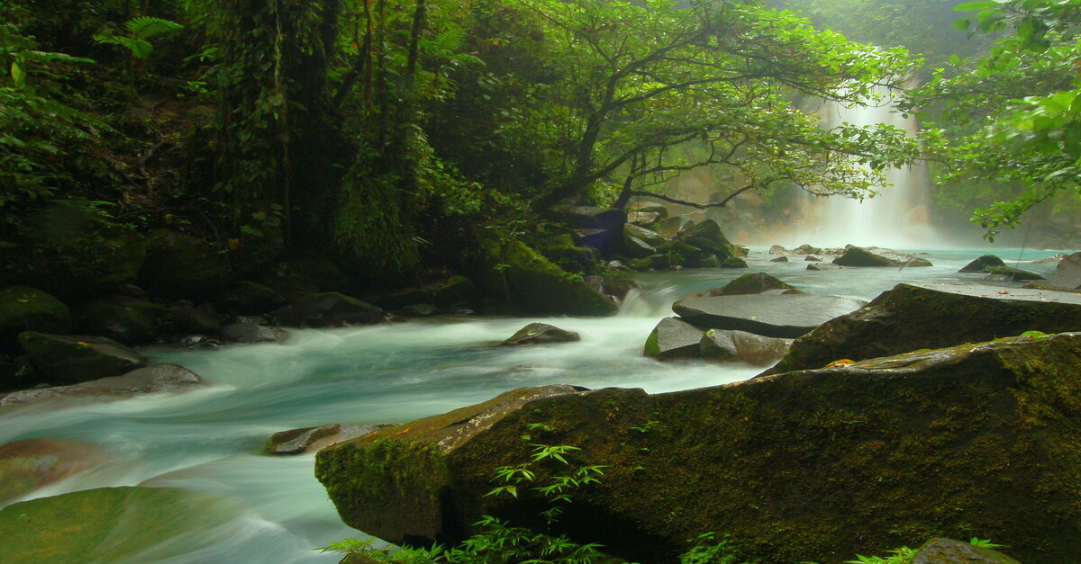 Paso del Río Celeste por el Parque Nacional Volcán Tenorio, en Costa Rica