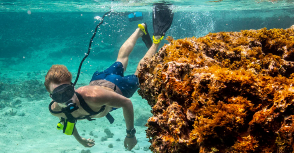 Estampa de un día de snorkel bajo el mar, en Mauricio