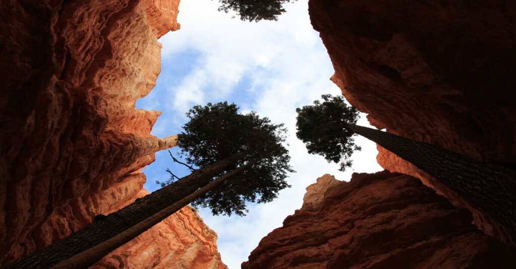 Navajo Loop Trail, en Bryce Canyon