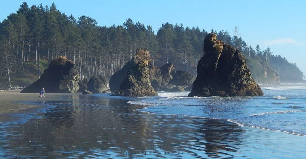 Parque Nacional Olympic