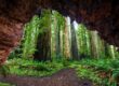 Naturaleza del Parque Nacional Sequoia, en el oeste de Estados Unidos