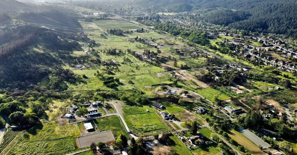 Valle de viñedos en Sonoma