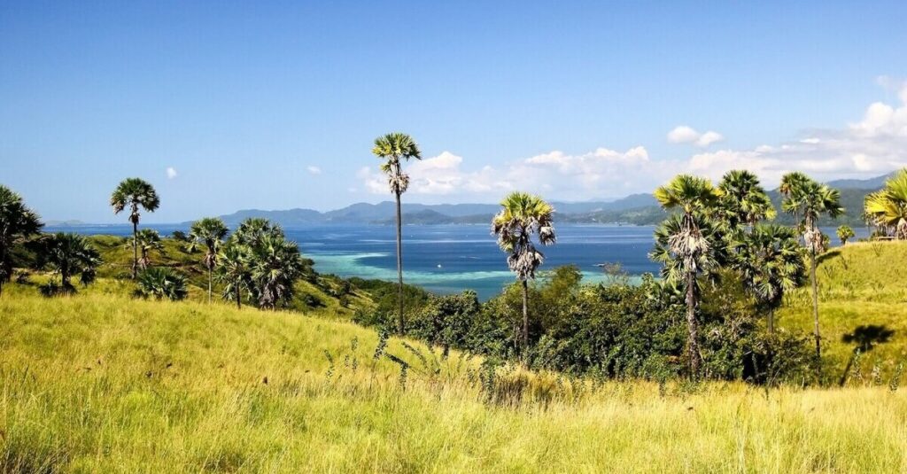 Paisaje de la Isla de Flores, en Indonesia