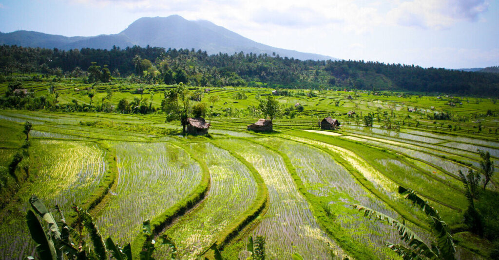 Valle de Sidemen, en Bali