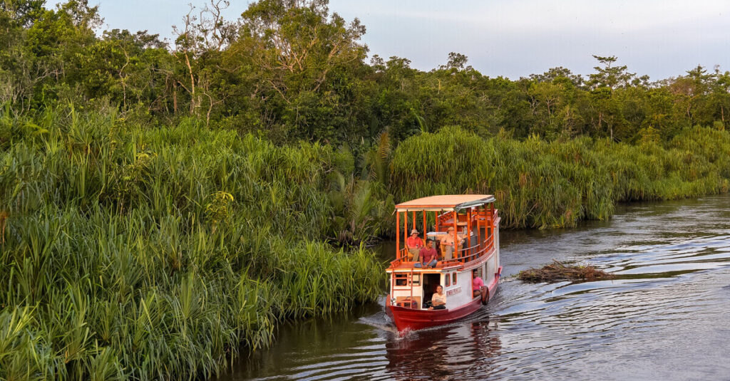 Klotok sobre un río en Tanjung Puting, el alma del Borneo indonesio