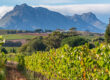 Disfrutar del buen vino de Sudáfrica es otra experiencia con Duende