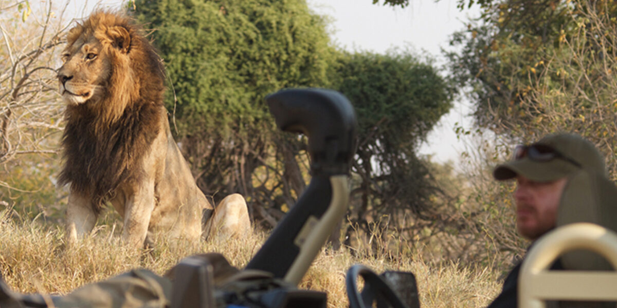 safari-sudafrica-principal Un safari en Sudáfrica es más que observar animales; es una experiencia que cambia la vida