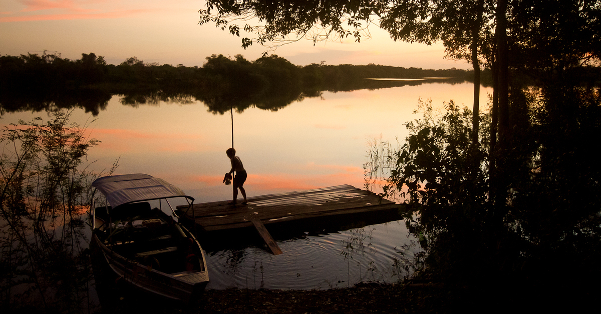 Atardecer en el Parque Nacional do Jaú, en el Amazonas de Brasil