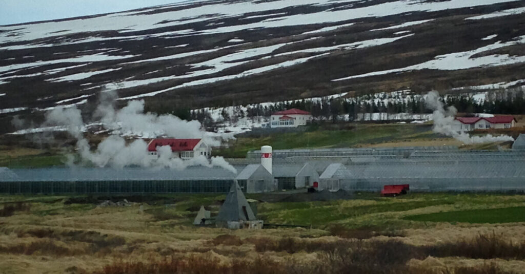 Invernaderos geotérmicos en Islandia