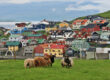 La Islandia rural y hospitalaria