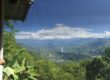 Panorámica de un cafetal en el Eje Cafetero de Colombia
