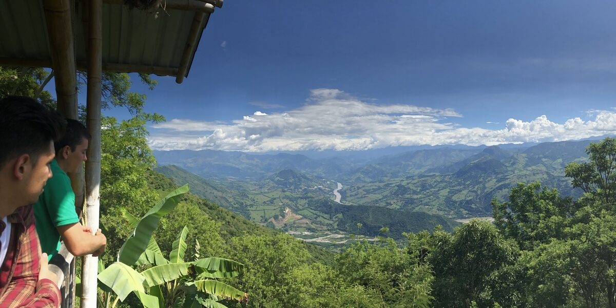 Panorámica de un cafetal en el Eje Cafetero de Colombia