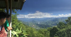 Panorámica de un cafetal en el Eje Cafetero de Colombia