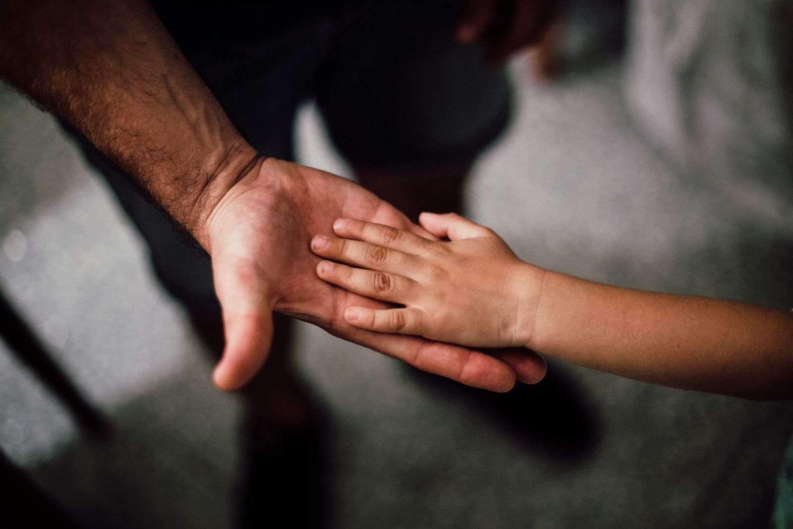 Viajes familiares con cultura y descanso en alojamientos especiales