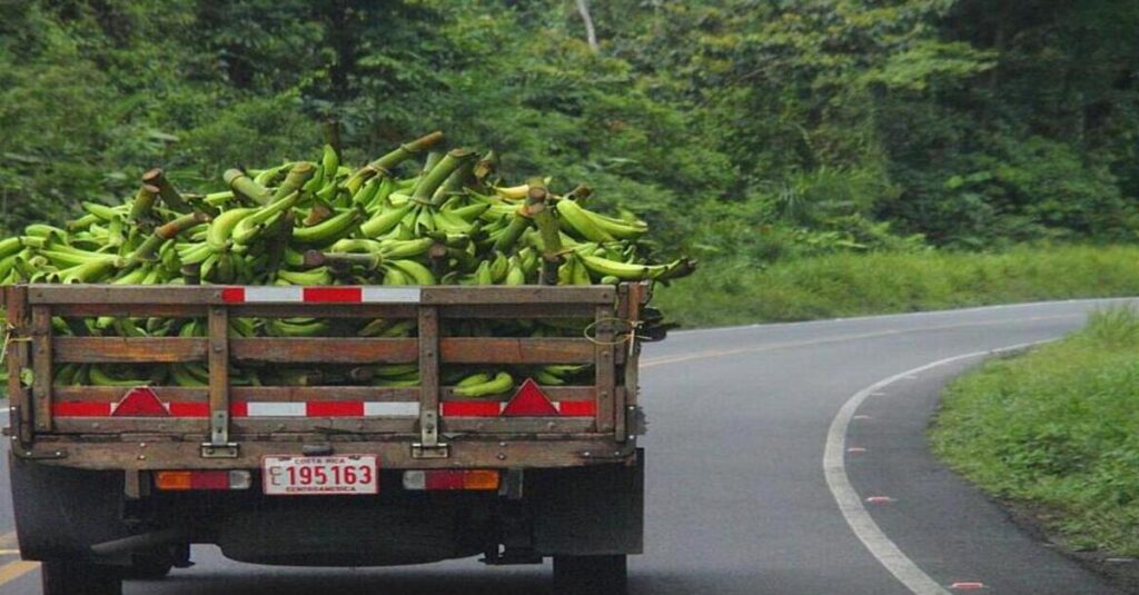 Carretera en Sarapiquí