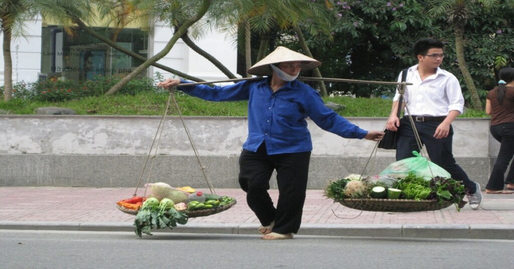 Un vietnamita cargando fruta en dirección al mercado
