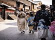 Japón, un destino perfecto para viajar en familia