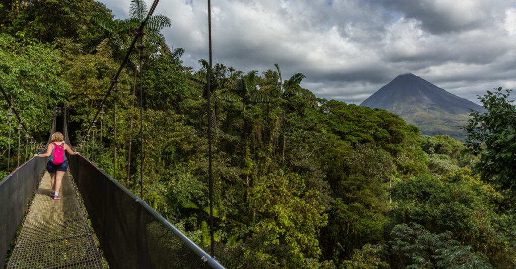 Puente colgante en Místico Park