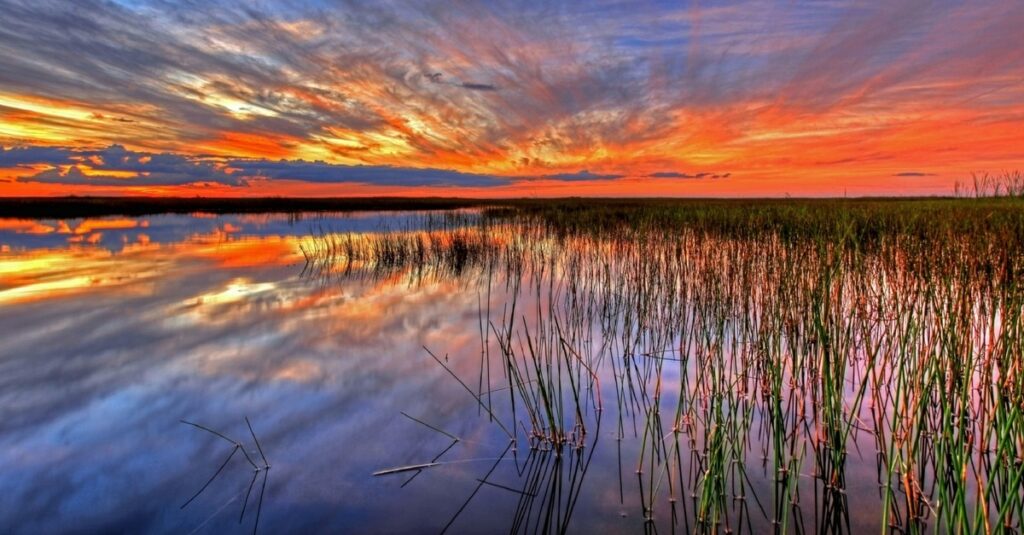 Puesta de sol en los humedales de Florida